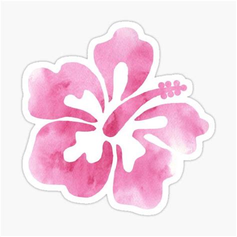 Colleenm2 Shop Redbubble Hibiscus Flowers Hibiscus Flowers