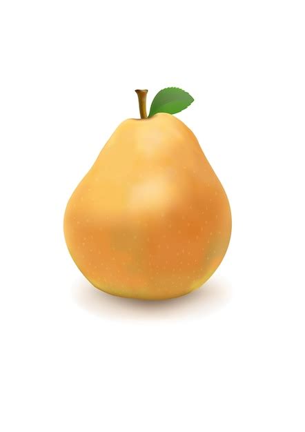 Premium Vector Realistic D Pear