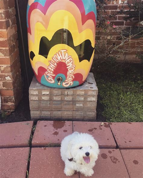 Donate Now | Help us build a sustainable New Orleans for generations to