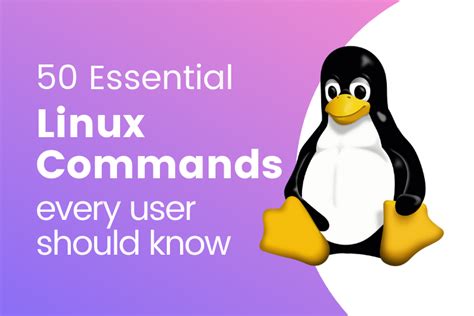 📌top 50 Most Commonly Used Linux Commands💻 By Sreekanth Thummala