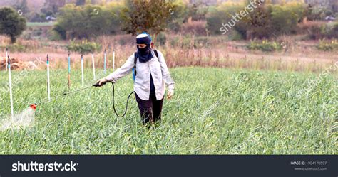 Problem Using Insecticides Herbicides Agriculture Still Stock Photo