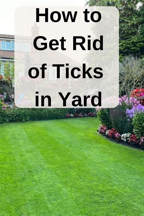 How To Get Rid Of Ticks In Yard In 2023 Get Rid Of Ticks Lawn Care Tips Lawn Care Schedule