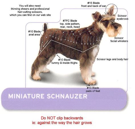 Andis Dog Clippers Dog Grooming Styles Schnauzer Grooming Schnauzer