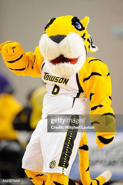 Towson Mascot Photos and Premium High Res Pictures - Getty Images