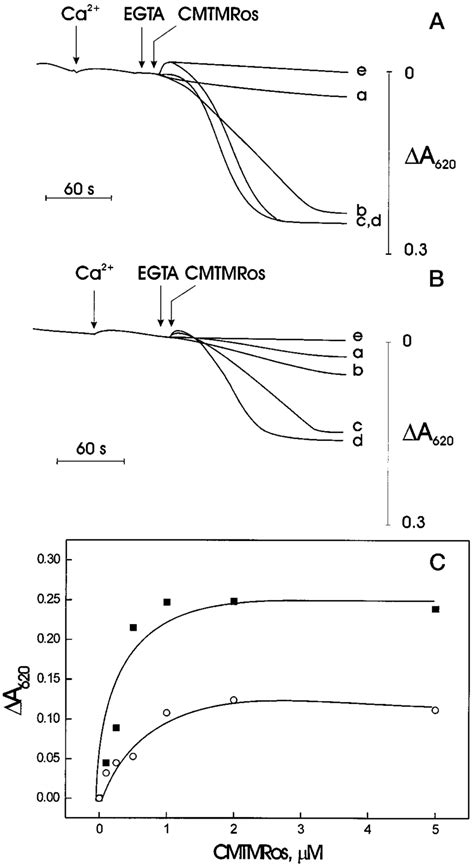 Cmtmros Induces Opening Of The Permeability Transition Pore In Isolated