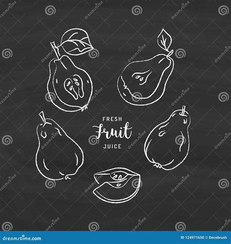 Pear Drawing Isolated Back Hand Drawn Fruit Icon Cartoon Vector