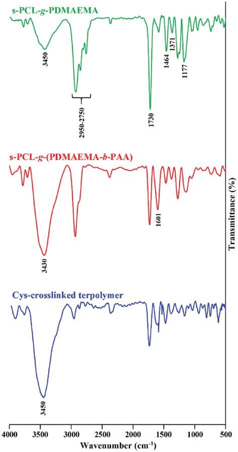 The Ftir Spectra Of The S Pcl G Pdmaema S Pcl G Pdmaema B Paa And