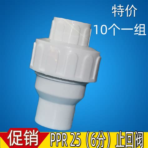 PPR Check Valve Points Pipe Fittings Points One Way Water Inlet Inch Hot Melt