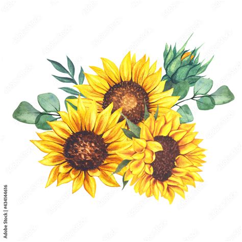 Watercolor Sunflowers Bouquet Hand Painted Sunflower Bouquets