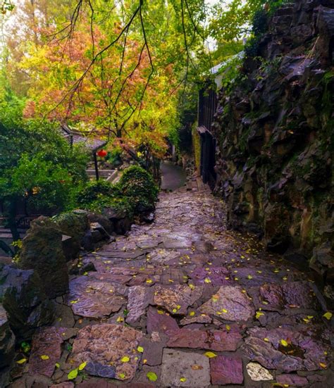 秋风秋雨秋渐凉，秋叶秋水秋意浓，摄影，美图秋意浓秋叶秋水新浪新闻