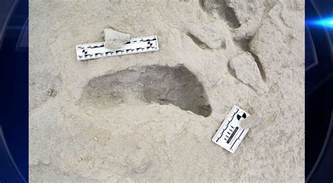 Discovery Of Fossilized Footprints Reveals The Moment Two Ancient Human