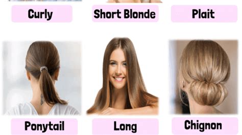 Hairstyles Names In English Hairstyle Catalog Hot Sex Picture