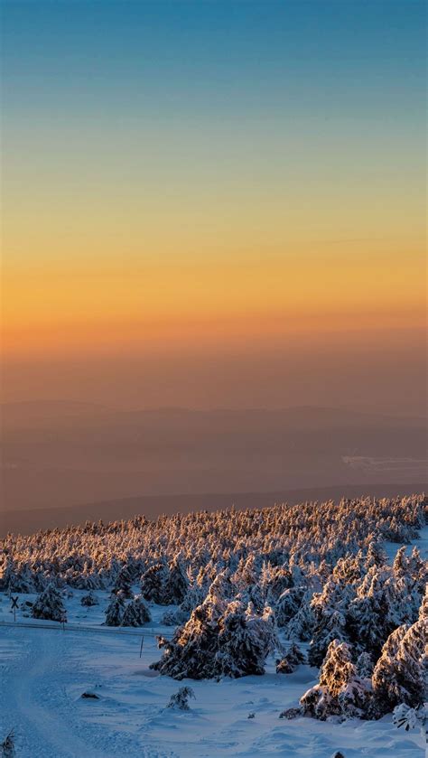 Bosque en el invierno al atardecer Fondo de pantalla 4k HD ID:10755