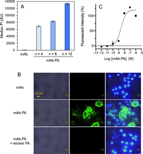 Mabfa Binds To The Fr Expressed On Igrov Cells A Igrov Cells