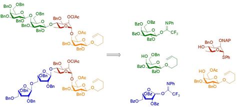 Molecules Free Full Text Synthesis Of Two Tetrasaccharide Pentenyl