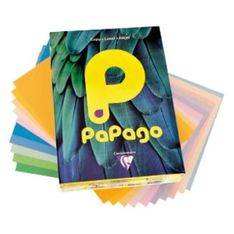 papago pastel   gsm coloured paper pk  colemans