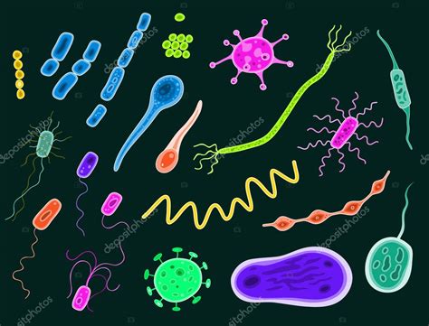 Bacteria And Viruses — Stock Vector © bicubic #5993873