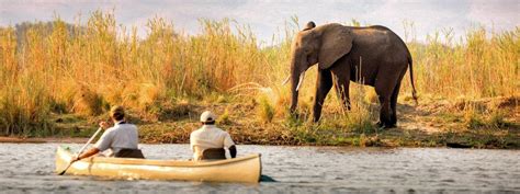 Lower Zambezi National Park Lodges | Zambia Lodges Lower Zambezi