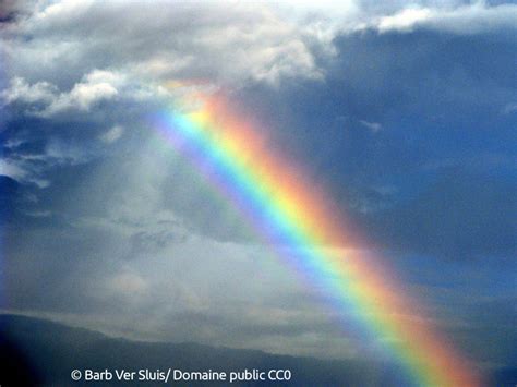 Sciences Pourquoi L Arc En Ciel A T Il Des Couleurs Sp Cifiques