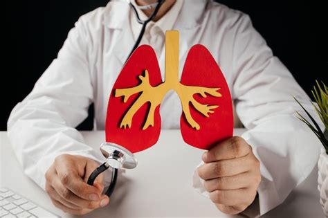 Premium Photo Doctor Holding Lung Organ Model Awareness Of Lung