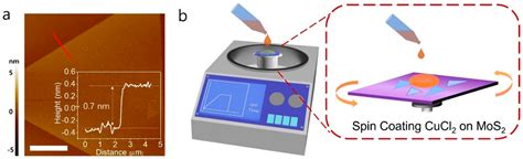 Nanomaterials Free Full Text Controlled P Type Doping Of Mos