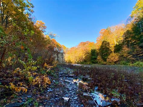 Eighteen Mile Creek Conservation Park Hamburg NY Adventures In New