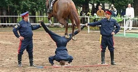 Топ-20 фотографий про особенности русского характера, шокировавших ...
