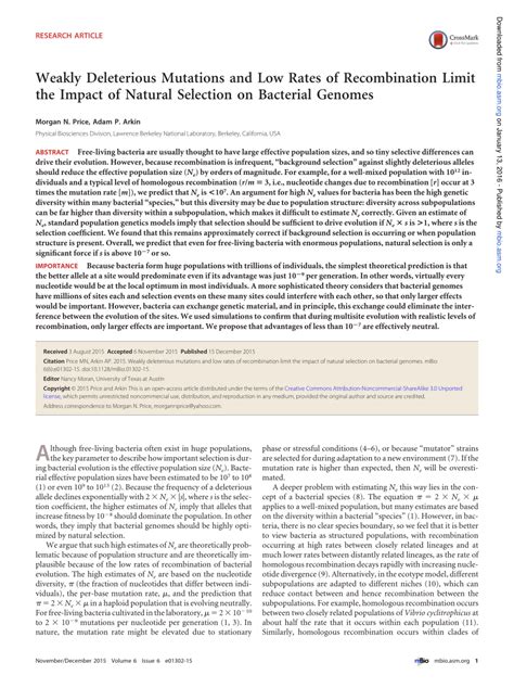 PDF Weakly Deleterious Mutations And Low Rates Of Recombination Limit