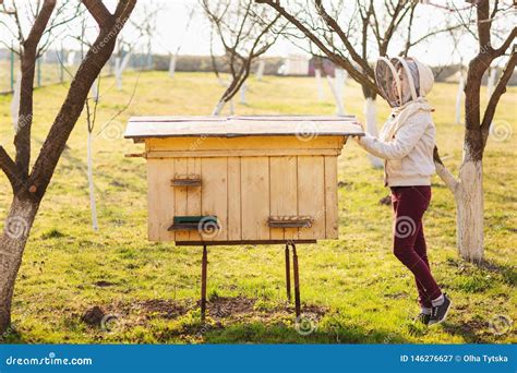 Uma Menina Nova Do Apicultor Est Trabalhando Abelhas E Colmeias No