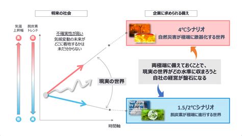 Tcfdを活用した経営戦略の立案 トピックス 脱炭素ポータル｜環境省