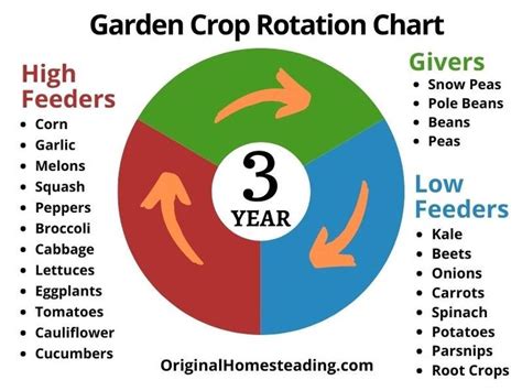 Vegetable Garden Crop Rotation | An Easy Garden Guide | Crop rotation ...