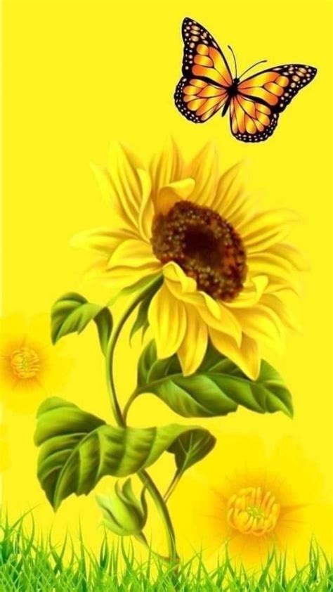 Cogul Sunflower And Butterfly Wallpaper Apps On Galaxy Store Artofit