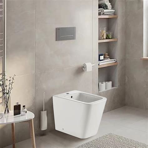 Ortonbath Floor Standing Floor Mount Spray Bidet Back To Wall Bidet