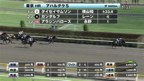 【63 アハルテケsほか】東京ダイジェストjraレース結果 競馬予想動画 Netkeiba