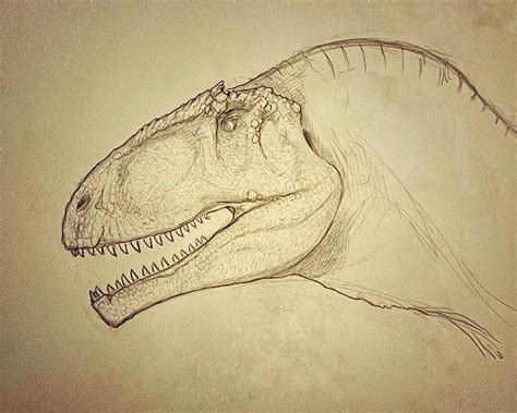 Giganotosaurus sketch by Filiko on DeviantArt