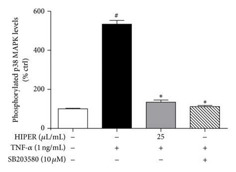 Hiper Reduced Nf κb Activation In Tnf α Activated Hcaecs Hcaecs Were