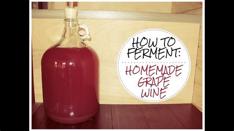 How To Make Wild Fermented Homemade Grape Wine Youtube