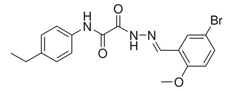 Bromo Methoxybenzylidene Hydrazino N Ethylphenyl