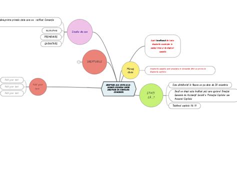 DREPTURI ALE COPILULUI EXEMPLIFICAREA UNO Mind Map