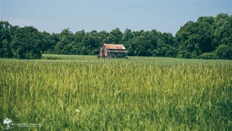 Feature for WCTI-12 | Jones County | Forgotten NC