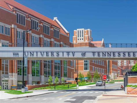 Is The University Of Tennessee A Good School College Reality Check