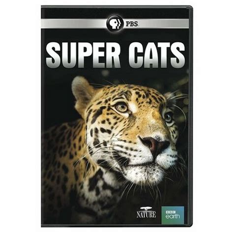 Nature: Super Cats (dvd) : Target