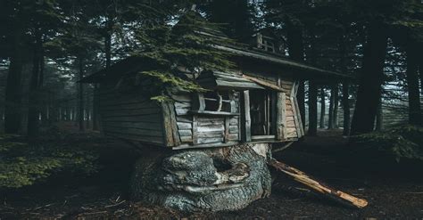 Abandoned Tree house hidden away in the forest. : pics