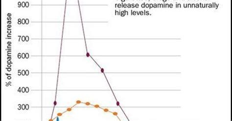 The Neuroscience Of Meth — From Pleasure To Paranoia Drugs Effects