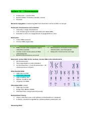 Lecture 10 Chromosomes Docx Lecture 10 Chromosomes Prokaryotes