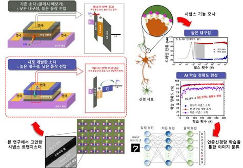 Kaist 고신뢰성 인공 시냅스 트랜지스터 개발 전자신문