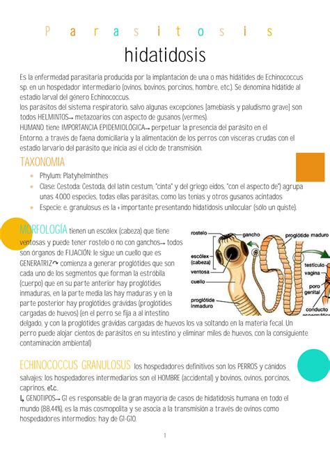 Solution Resumen Parasitosis Studypool