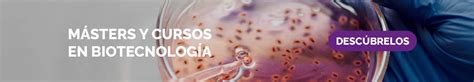 Biotecnología Blanca Qué es Ventajas y Ejemplos IEQFB