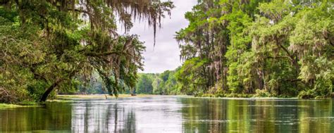 Ichetucknee Springs State Park FL – mycampingvacationsites.com