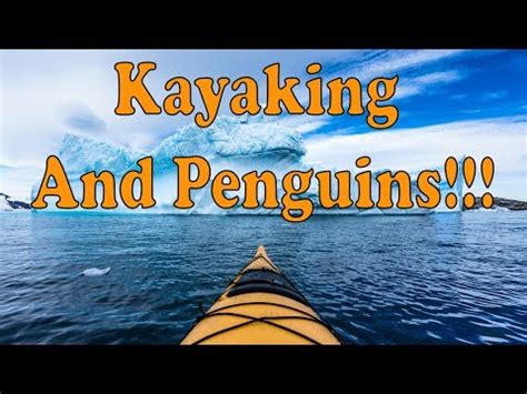 Sea Kayaking In Antarctica The Ultimate Guide For Nomadasaurus